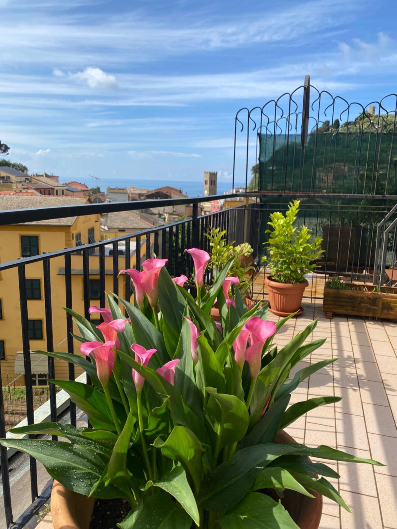 Ferienwohnung La Terrazza Di Monterosso Monterosso al Mare Exterior foto