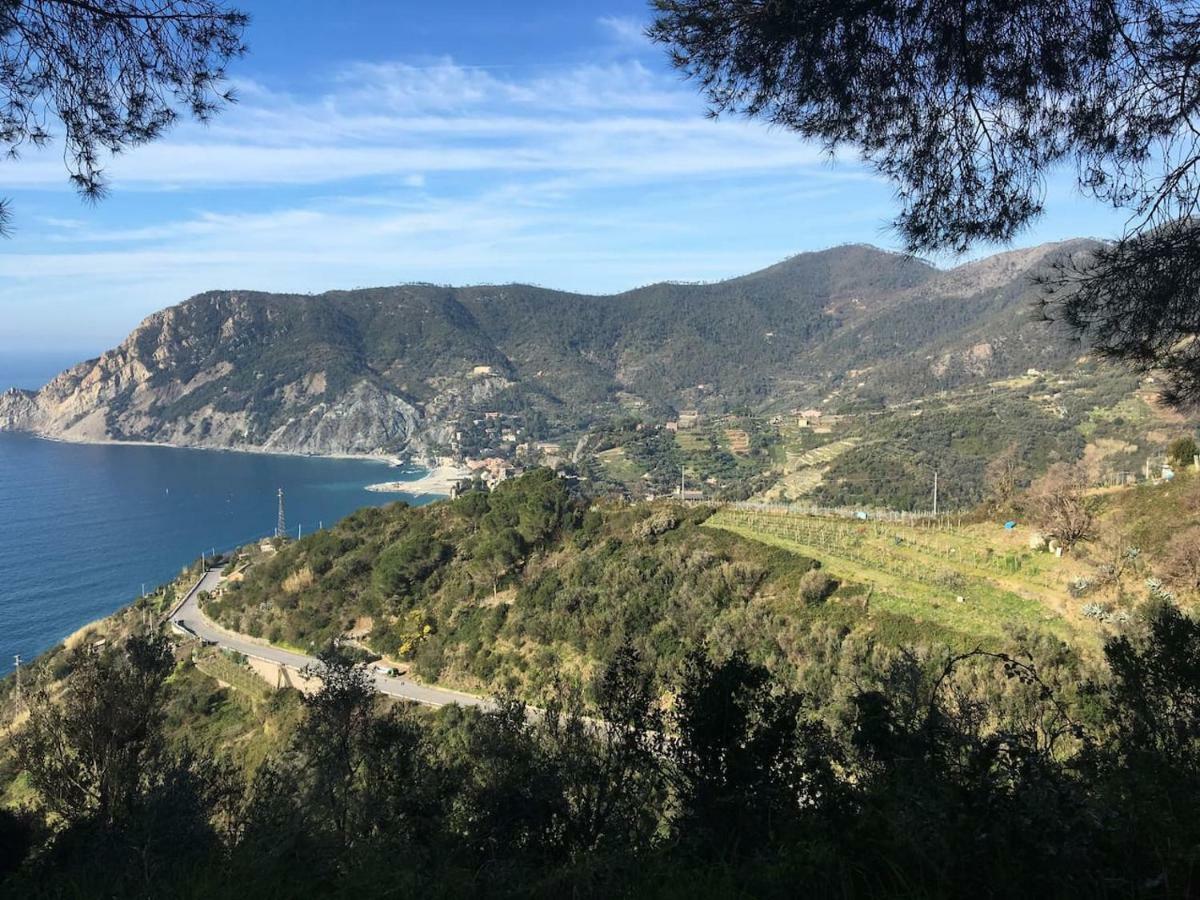 Ferienwohnung La Terrazza Di Monterosso Monterosso al Mare Exterior foto