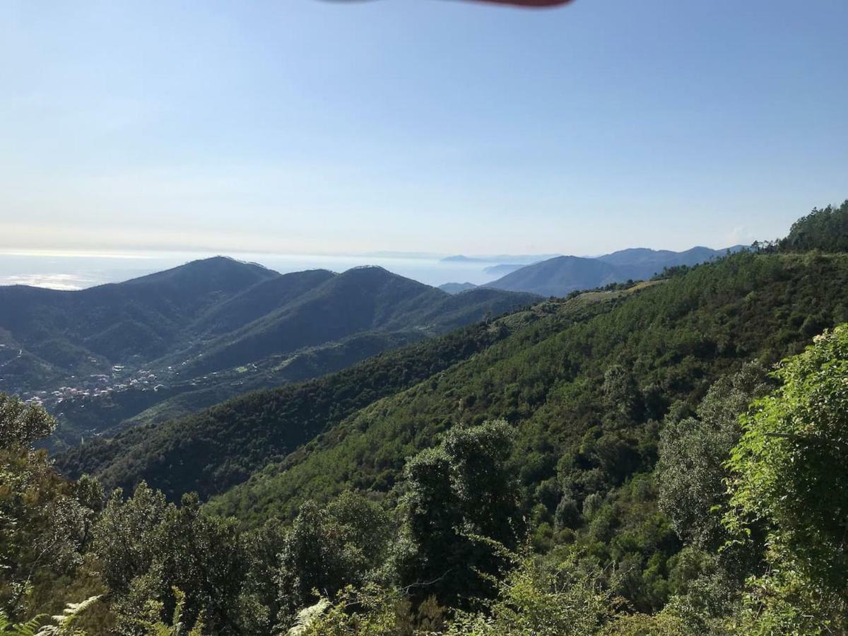 Ferienwohnung La Terrazza Di Monterosso Monterosso al Mare Exterior foto